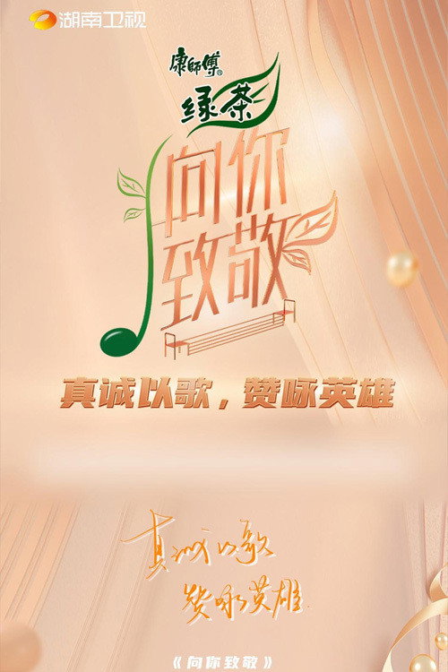 向你致敬 封面
