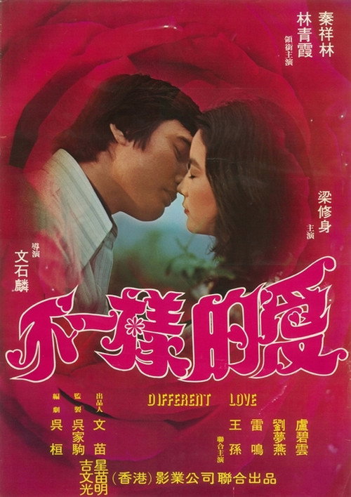 不一样的爱 封面