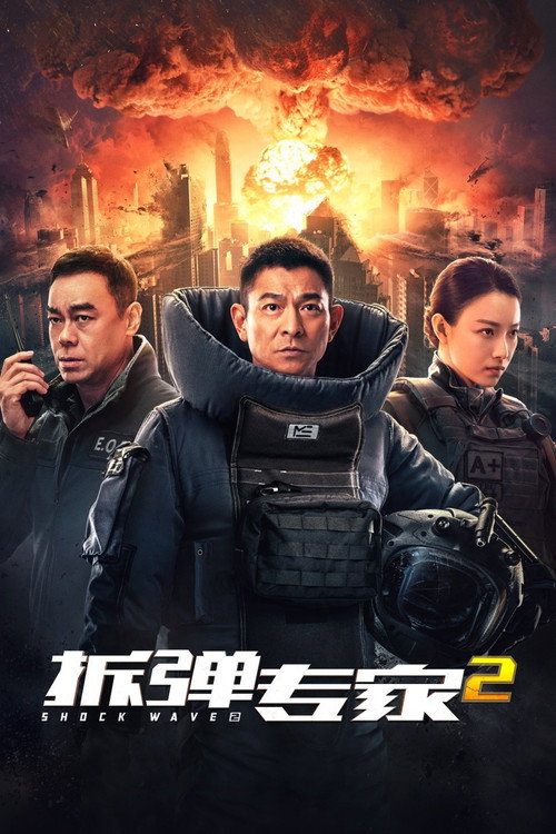 拆弹专家2 封面
