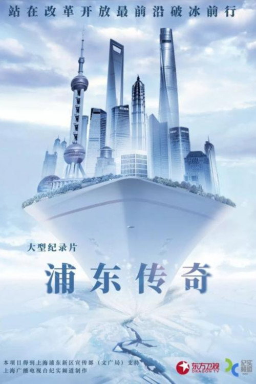 浦东传奇 封面