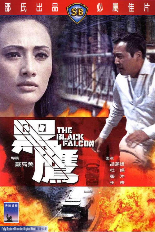 黑鹰 封面