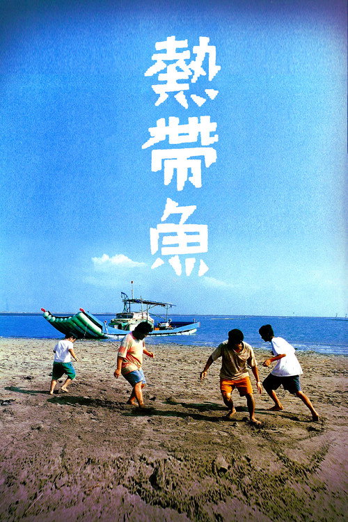 热带鱼 封面