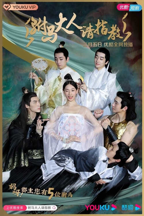 驸马大人请指教 封面