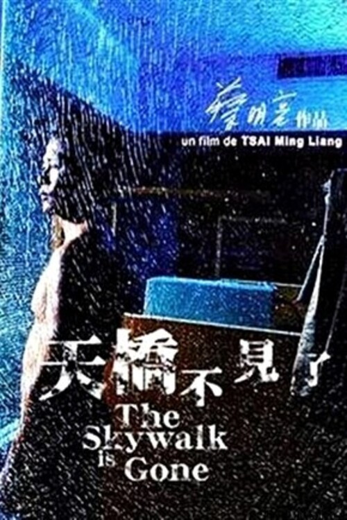 天桥不见了 封面