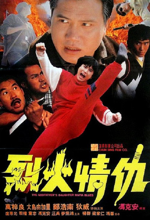 烈火情仇 封面