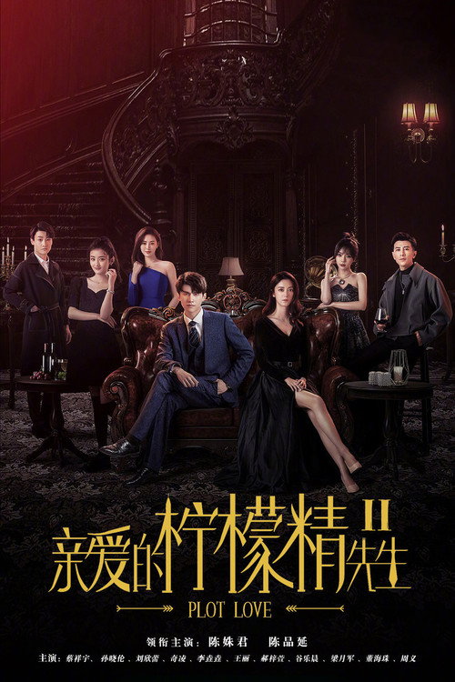 亲爱的柠檬精先生2 封面