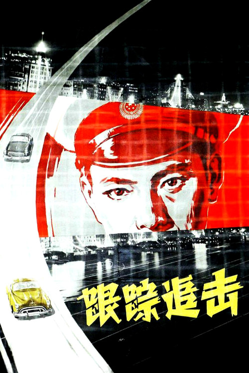 跟踪追击 封面