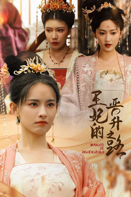 王妃的晋升之路 封面