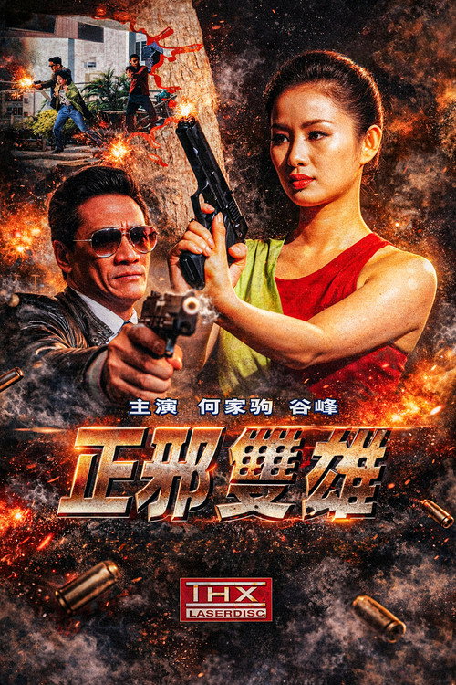 正邪双雄 封面