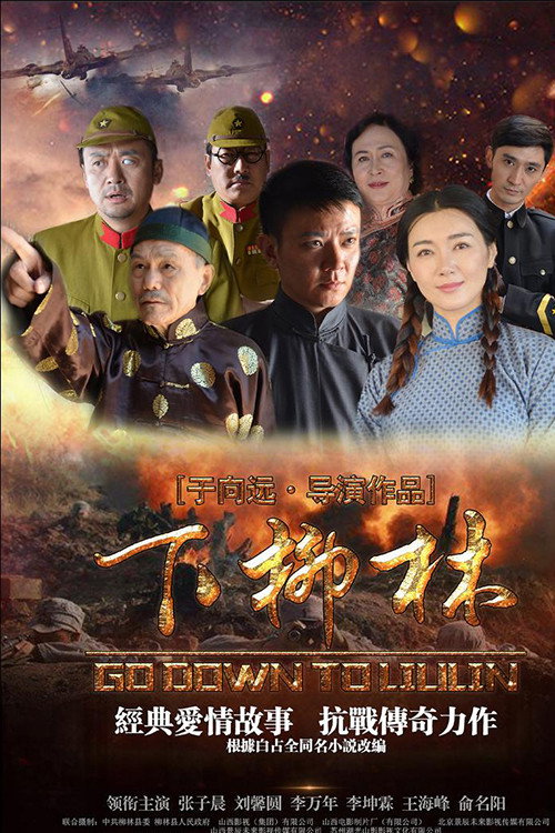 下柳林 封面
