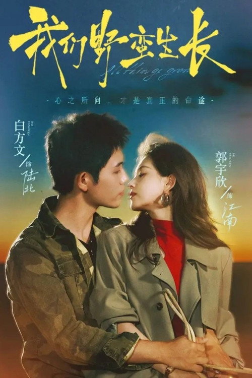 我们野蛮生长 封面