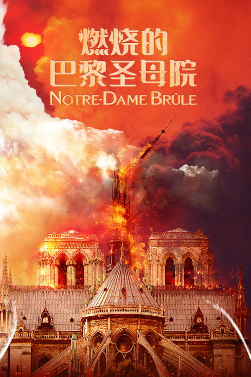 燃烧的巴黎圣母院 封面