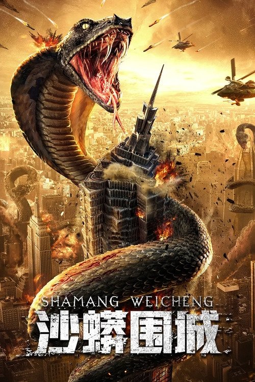 沙蟒围城 封面
