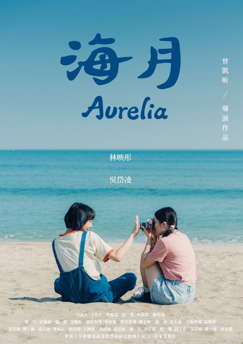 海月 封面