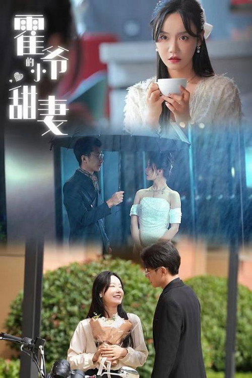 霍爷的小甜妻 封面