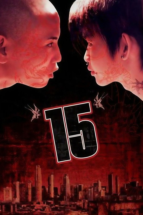 15 封面