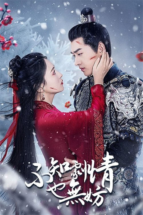 不知剧情也无妨 封面