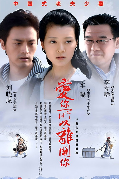 爱你所以离开你 封面
