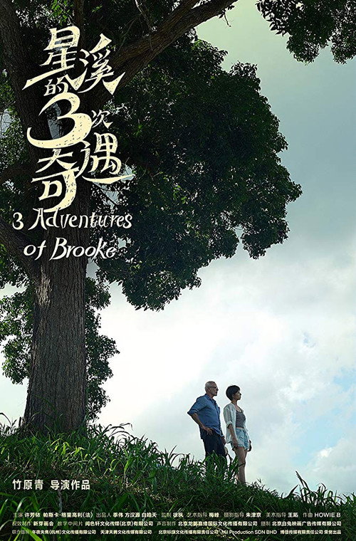 星溪的3次奇遇 封面