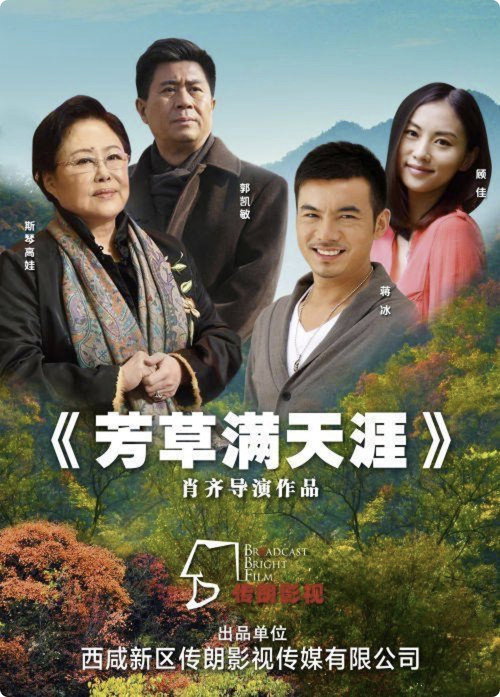 芳草满天涯 封面