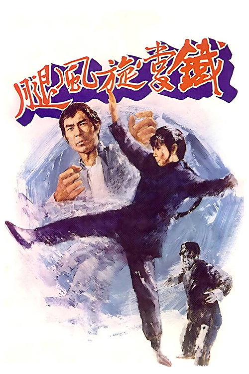 铁掌旋风腿 封面