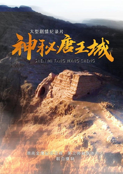 神秘唐王城 封面