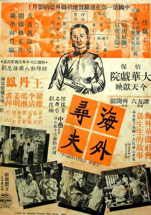 海外尋夫 封面