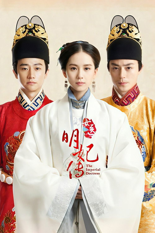 女医明妃传 封面