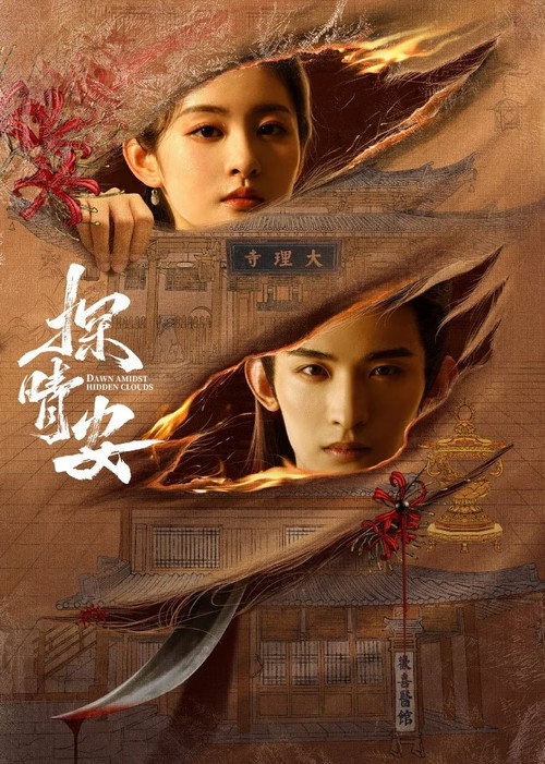 探晴安 封面