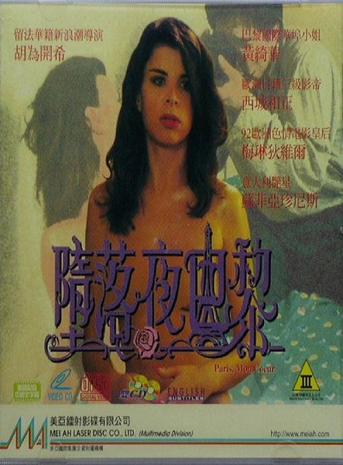 堕落夜巴黎 封面