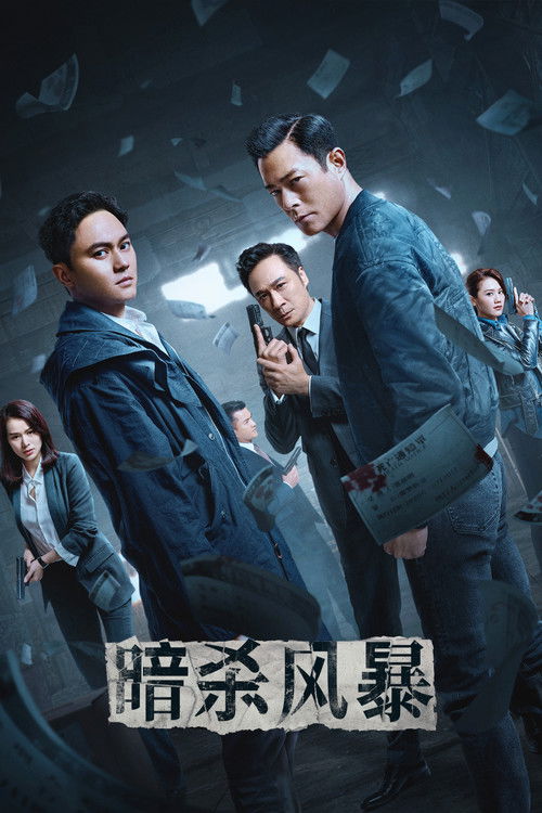 暗杀风暴 封面