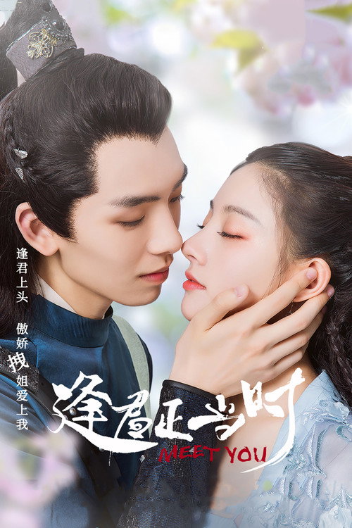 逢君正当时 封面