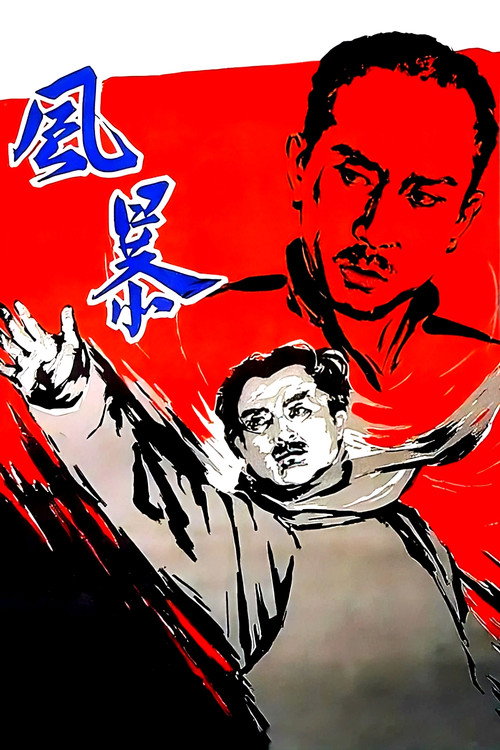 风暴 封面