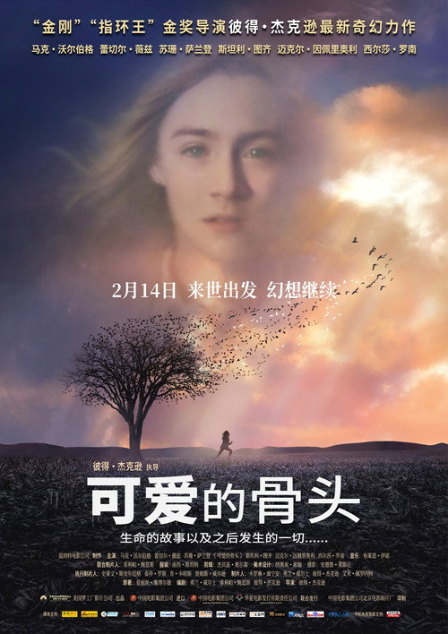 可爱的骨头 封面