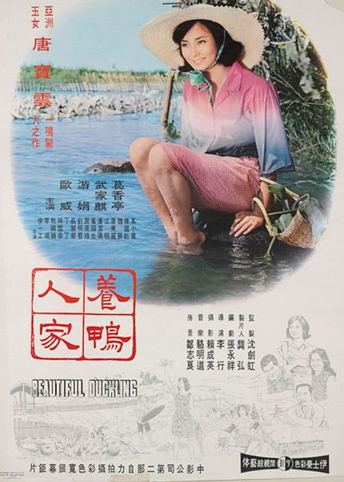 养鸭人家 封面