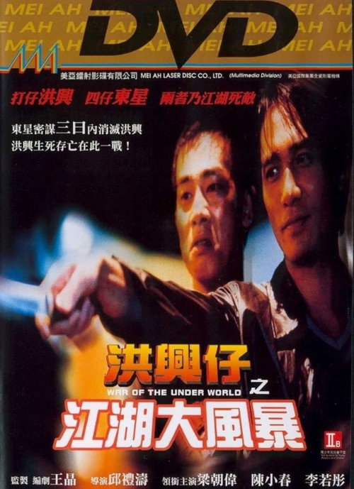 洪兴仔之江湖大风暴 封面