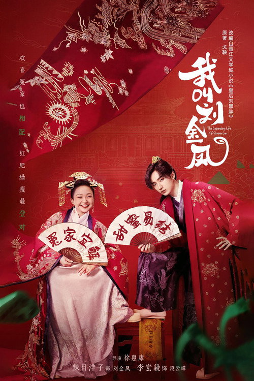 我叫刘金凤 封面