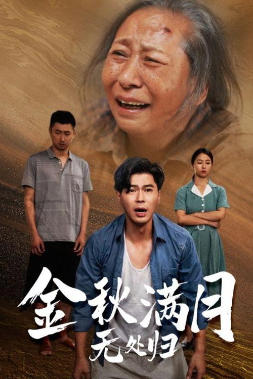 金秋满月无处归 封面