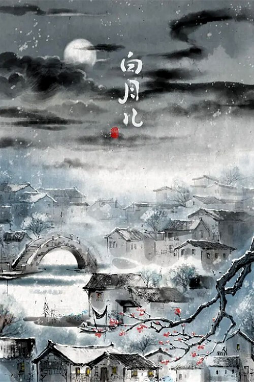 白月儿 封面