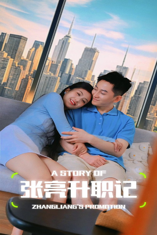 张亮升职记 封面