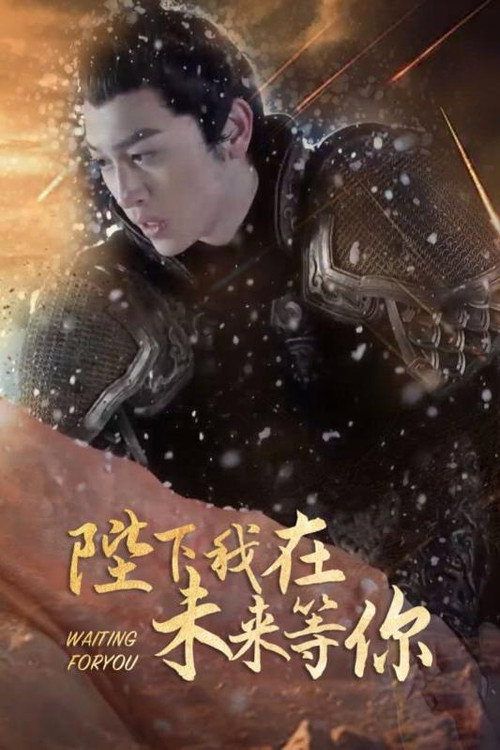 陛下我在未来等你 封面