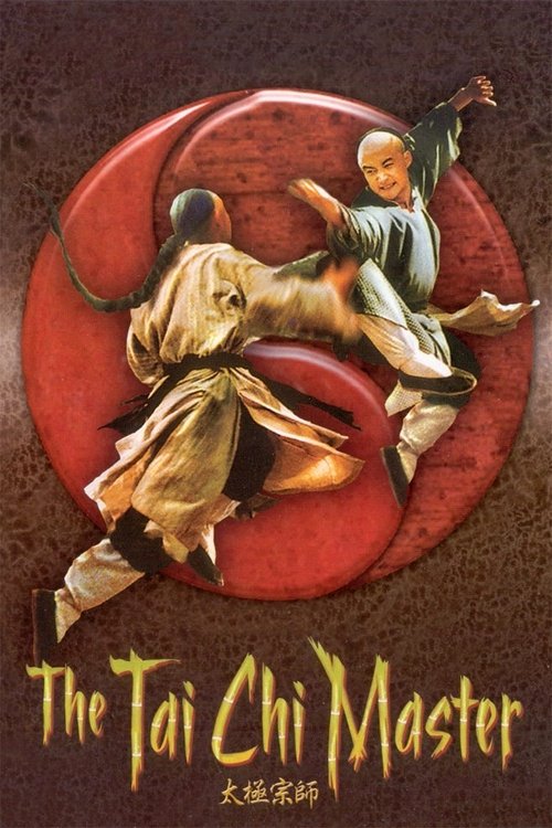 太极宗师 封面