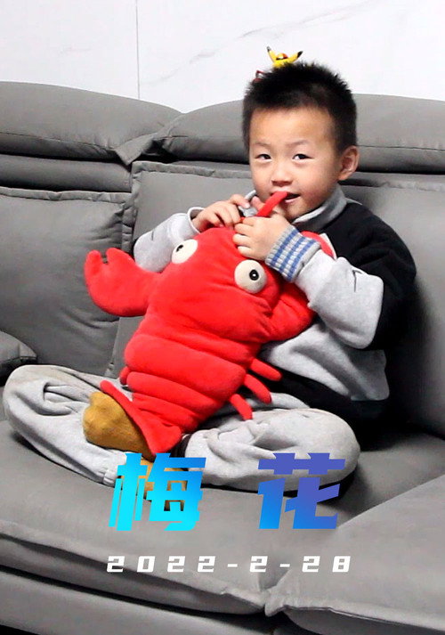 梅花 封面
