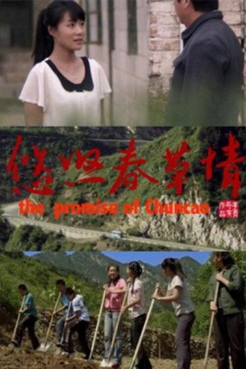 悠悠春草情 封面