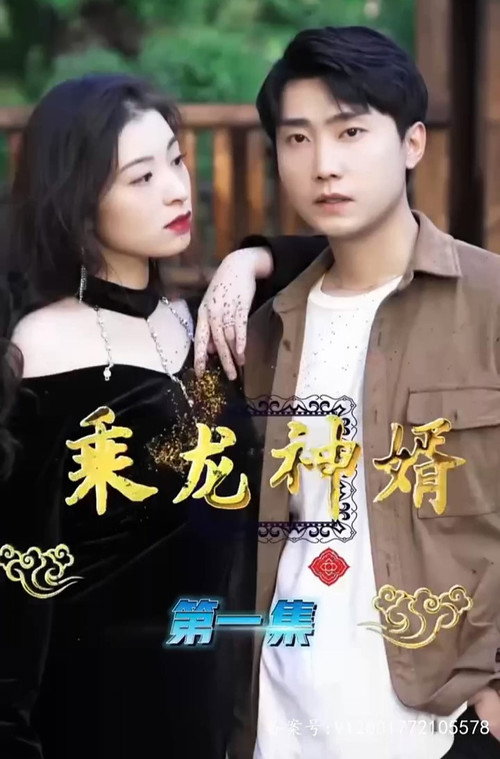 乘龙神婿 封面