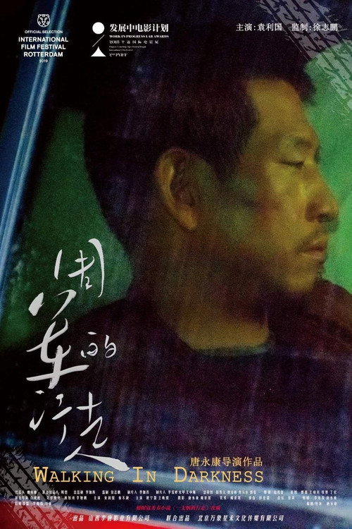 周军的行走 封面