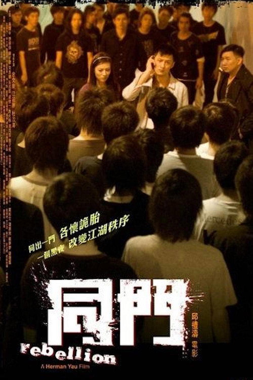 同门 封面