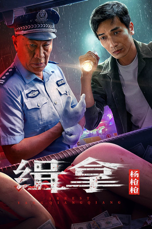 缉拿杨枪枪 封面