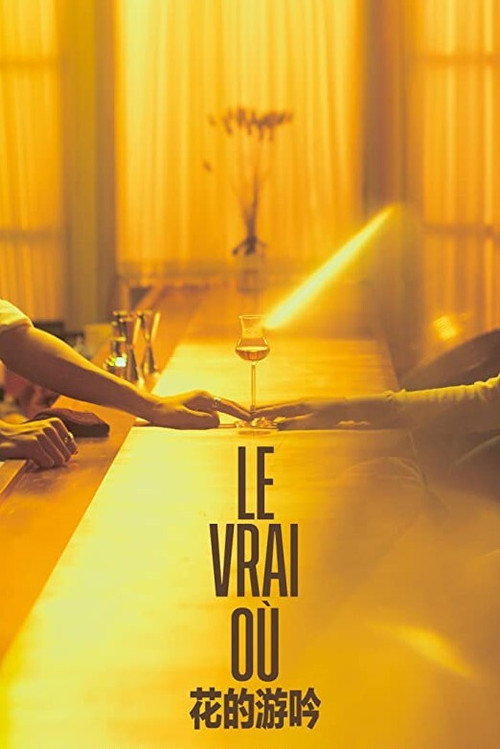 Le Vrai Où 封面