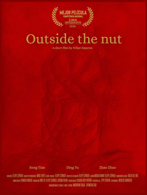 Outside the Nut 封面